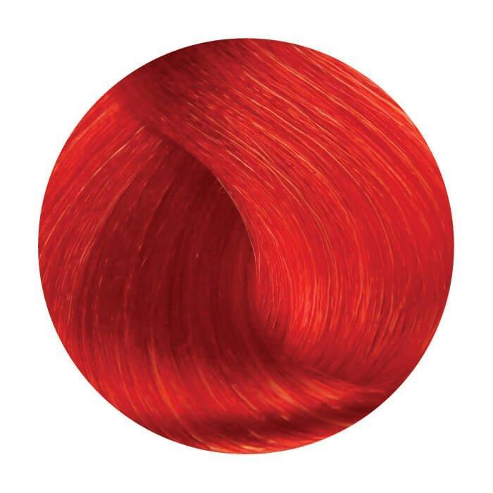 Oro Free Ammonia Hair Dye - Rosso - Mrayti Store