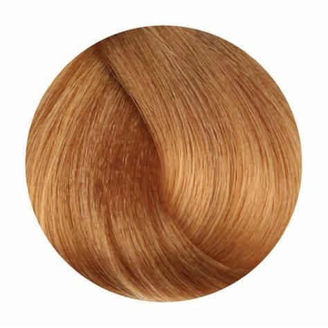 Oro Free Ammonia Hair Dye - Light Blonde Golden 8.3 - Mrayti Store